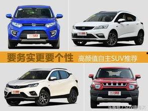 精品国产自,探索我国自主创新的辉煌成就